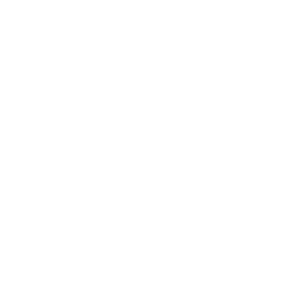 Jet Ski & Parasailing